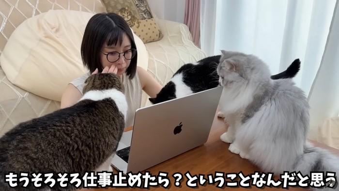 テロップ「そろそろ仕事~」