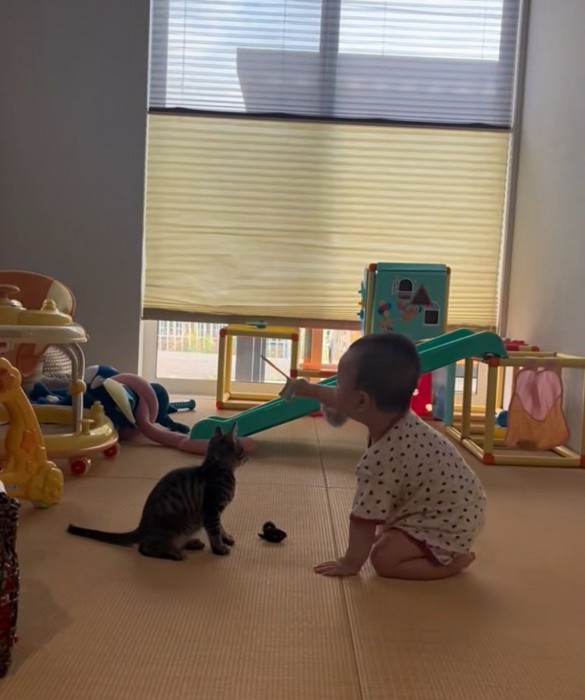 一緒に遊ぶ猫と赤ちゃん