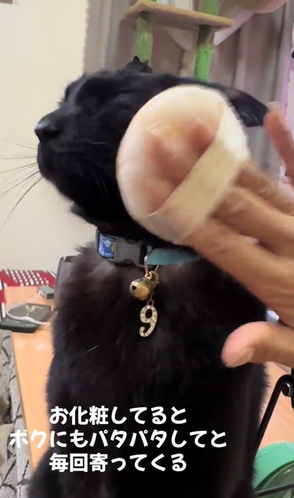 パフでパタパタされているナイトくん