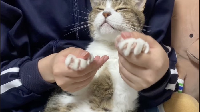 飼い主さんにされるがままのミックくん