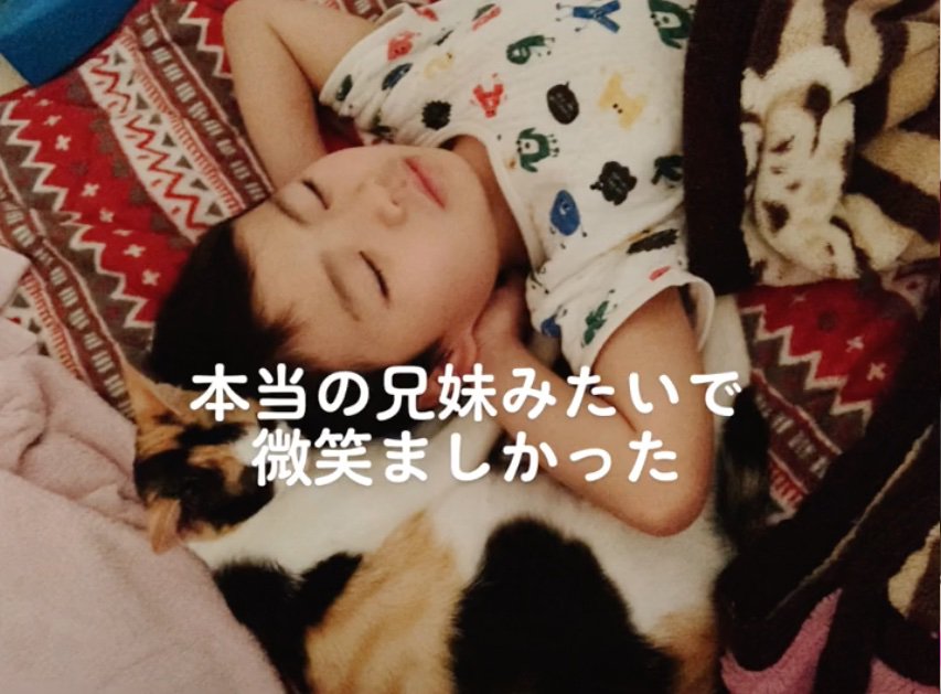 添い寝する男の子と猫