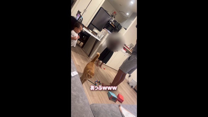 あっふ