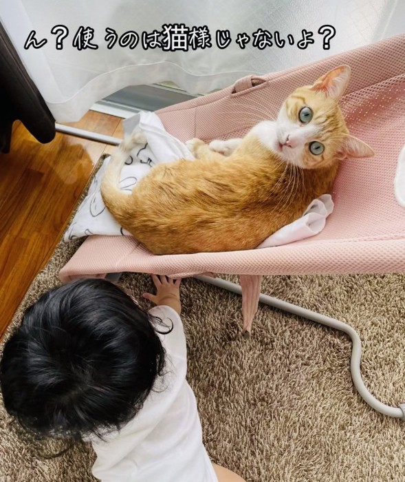 椅子でくつろぐ茶白猫とその様子を見る赤ちゃん