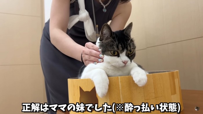 正体は飼い主さんの妹さんでした