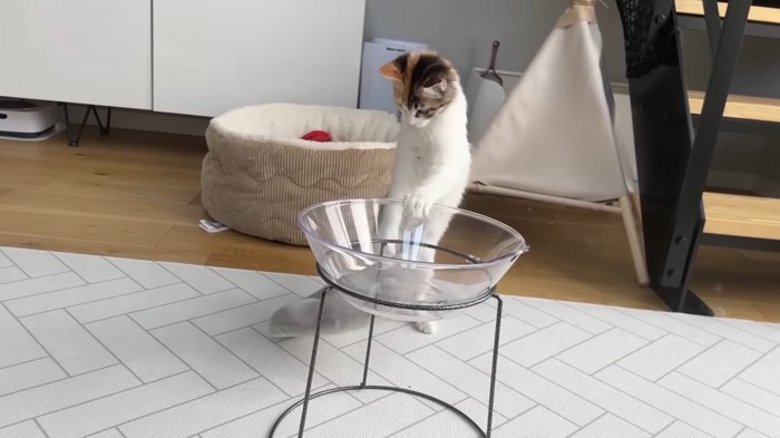 つかまり立ち(真ん中)