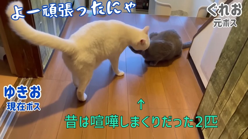 ゆきおくんとぐれおくん