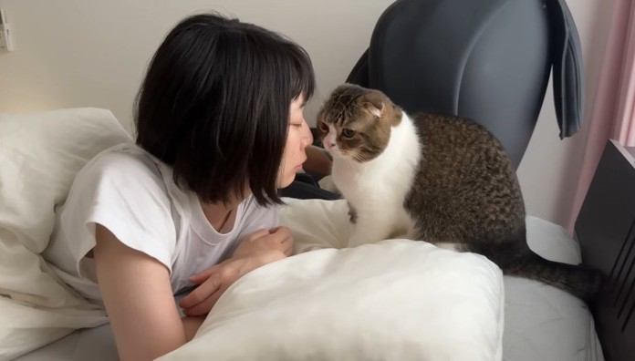 枕の上に乗り上げて