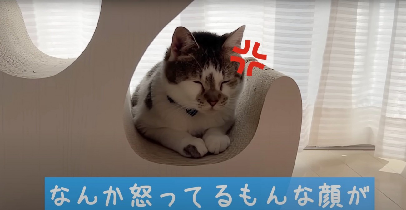 怒っているささみくん