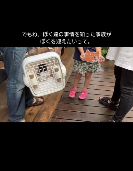 猫を受け入れる家族