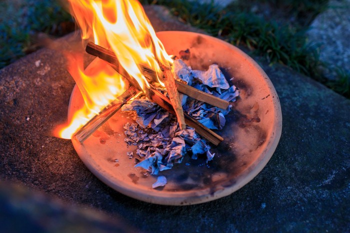 お寺の縁側に座る猫