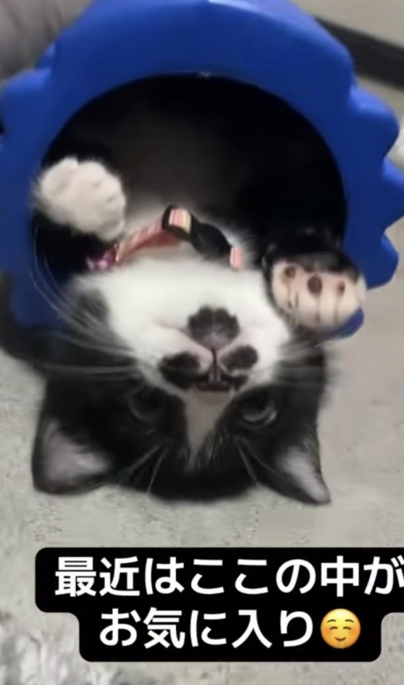 「最近はここの中が」のテロップ写真1