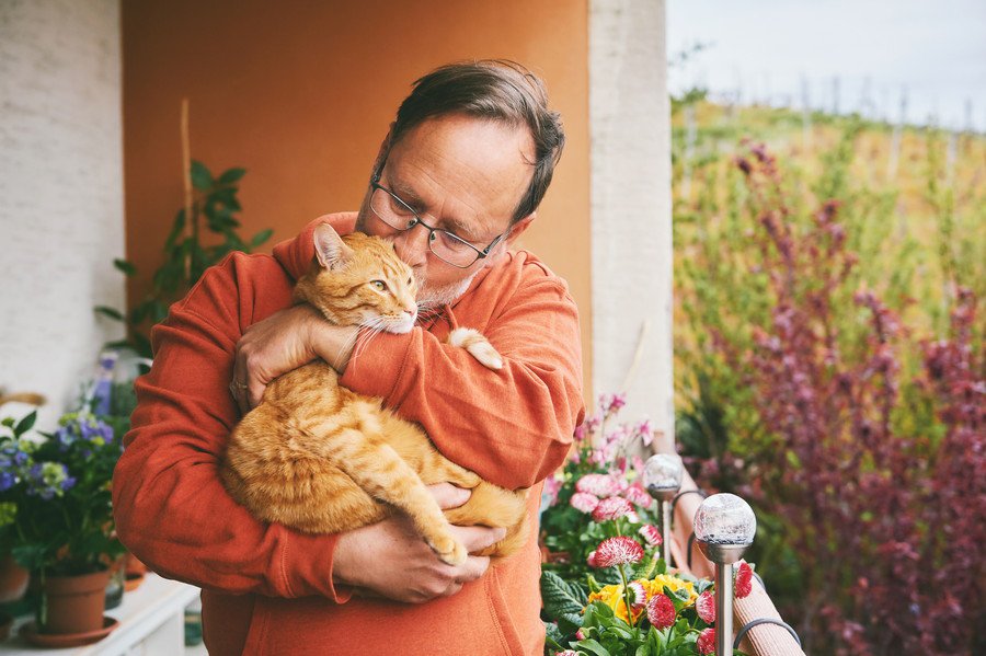 猫を抱いてキスする中年男性