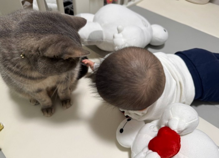 ずり這いで近づいていく赤ちゃん