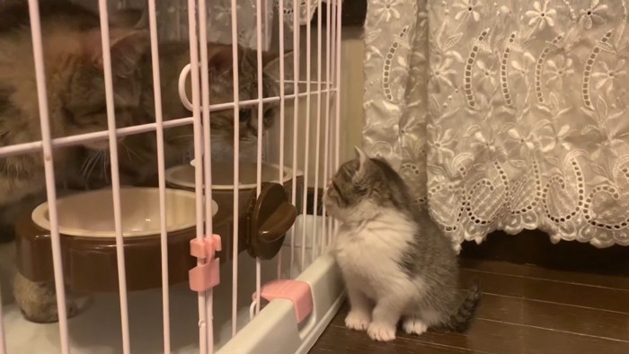 見つめ合う両者