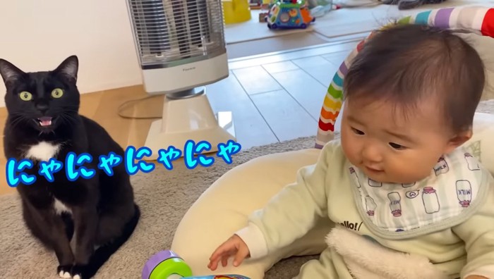 にゃにゃにゃにゃ