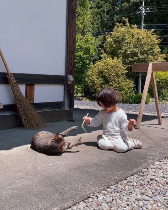 前足を伸ばす猫