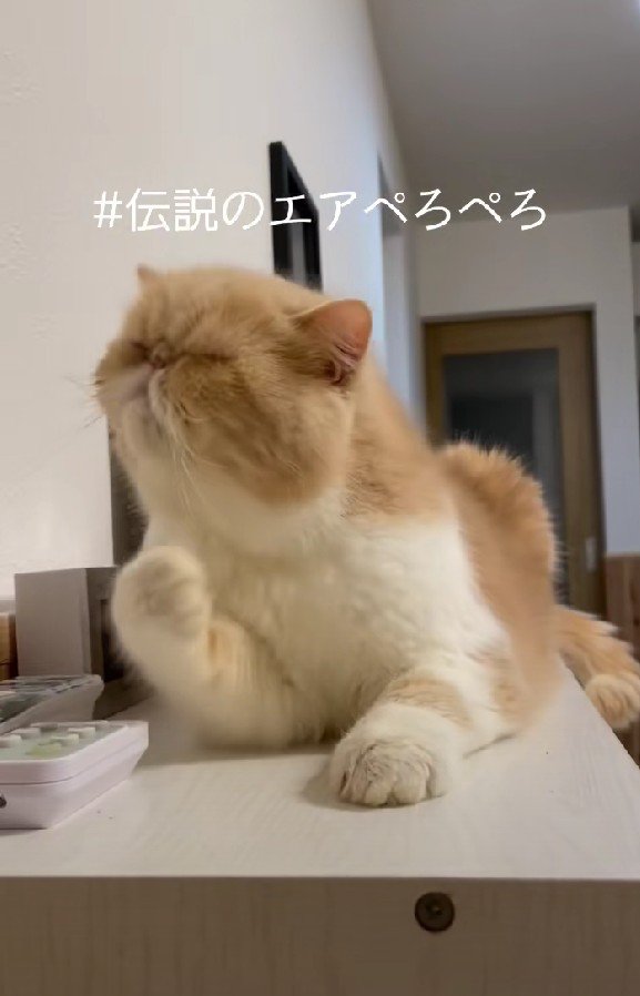 猫　毛づくろい くろねこごま毛づくろい 250512 - YouTube