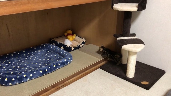 寝床に向かって