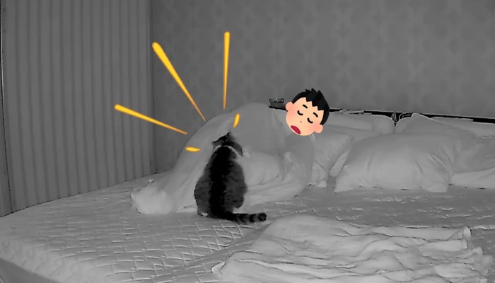 就寝中のパパさん