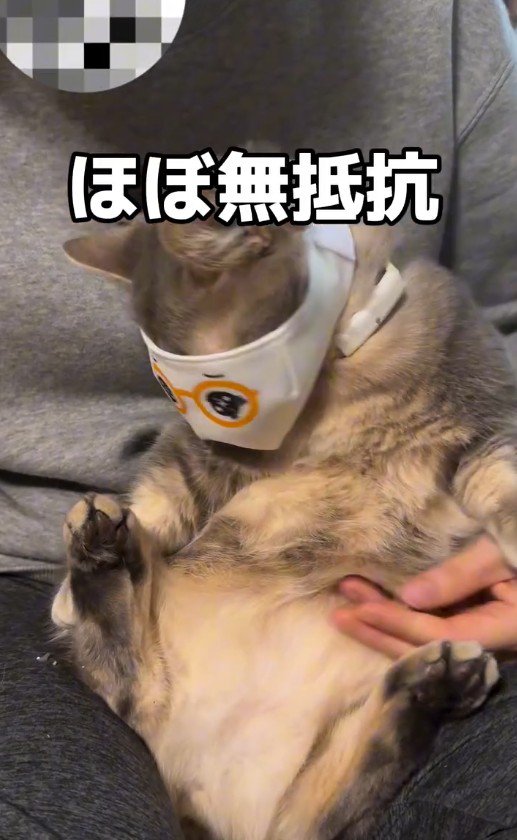 マスクをつけたココスくん