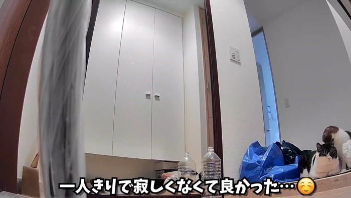 寂しくなくて良かった