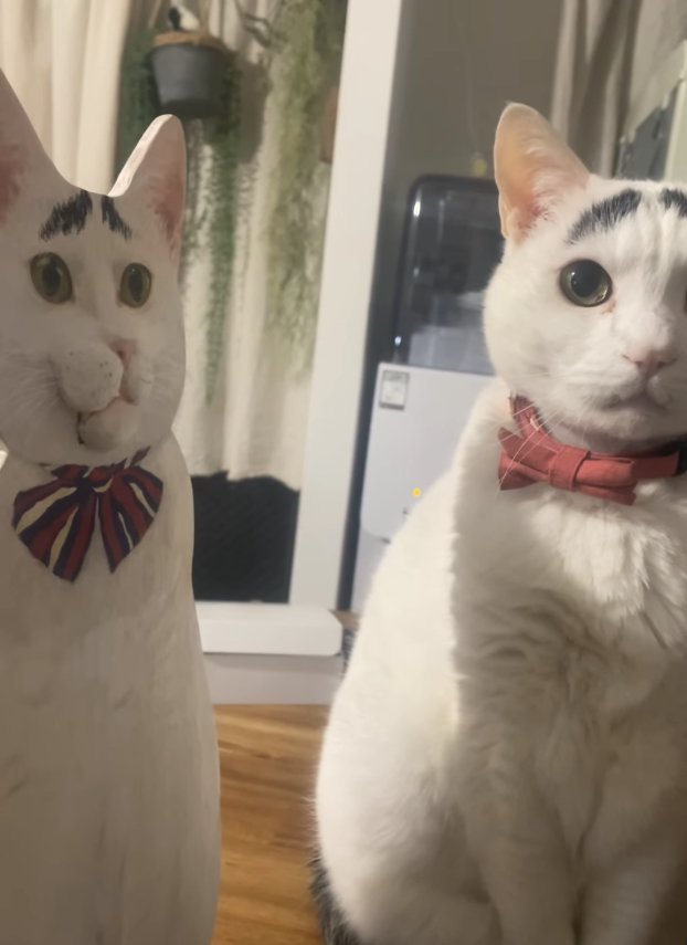 口が閉じているパネルの真横でお座りしている猫（耳前向き）