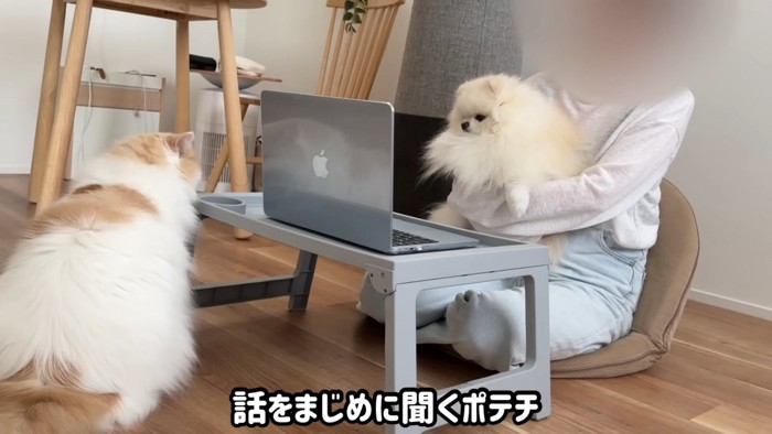 まじめに話を聞くポテチくん