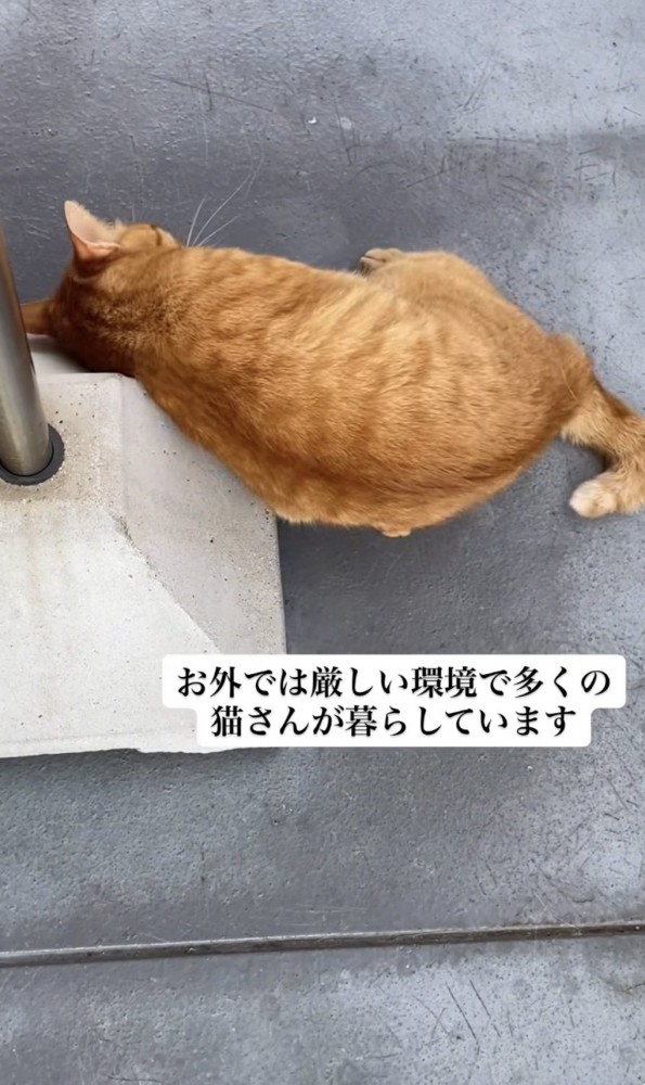 「お外では...」のテロップ写真