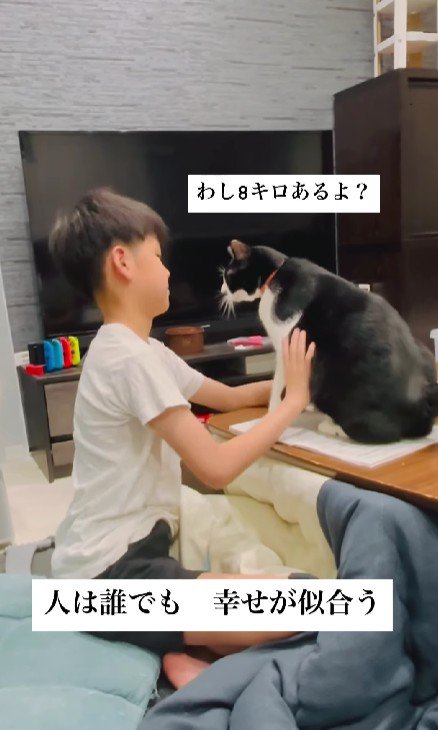 宿題の邪魔をする猫