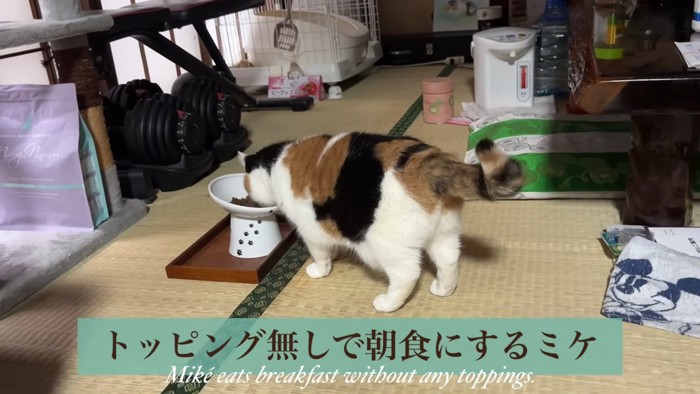 テロップ「トッピング無しで~」