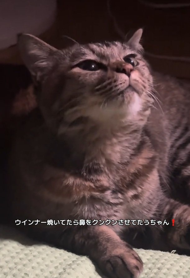 吸引する梅干しちゃん