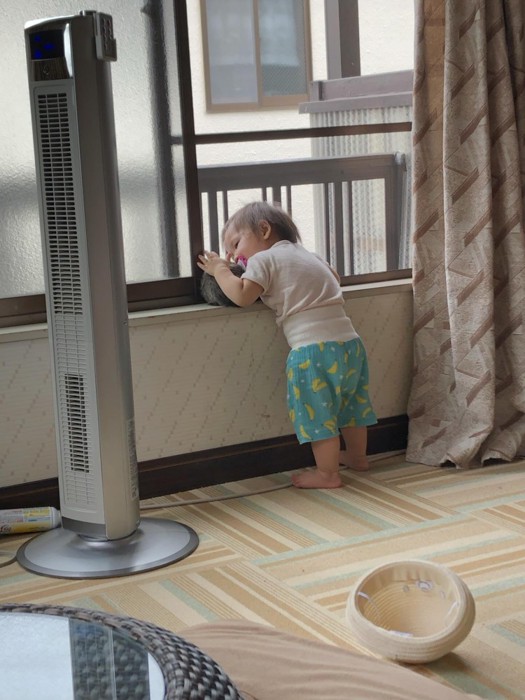 窓辺の女の子と猫