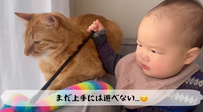 猫のおもちゃを持っている赤ちゃんと猫