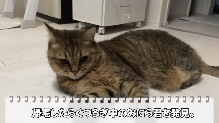 「帰宅したら...」のテロップ写真