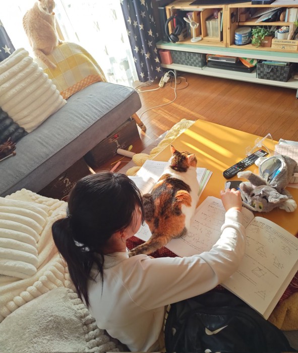 勉強をする女の子とテーブルに座る猫
