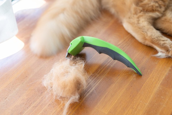 猫の抜け毛