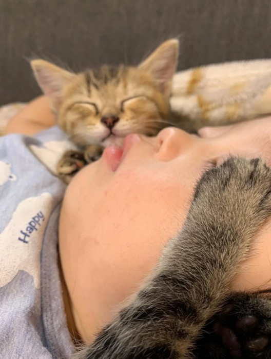 子どもの顔に乗った猫の前足と奥で寝ている子猫