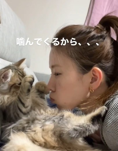 右後ろ脚を人の肩に乗せる猫