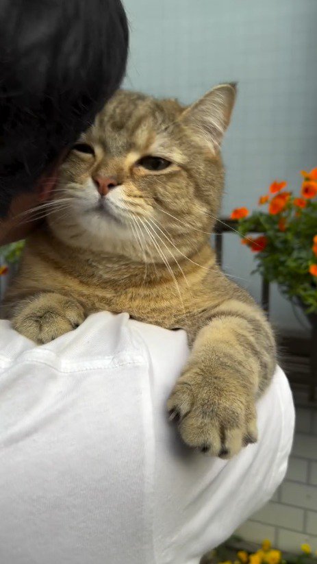 猫の顔に頭を寄せる男性