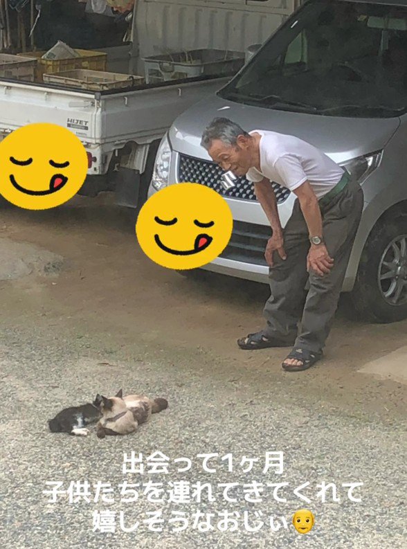 猫一家とおじいちゃん