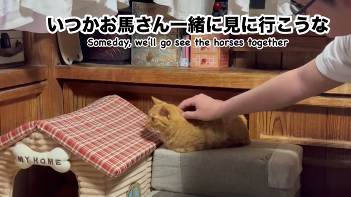 スマホから目を離さない月ちゃん