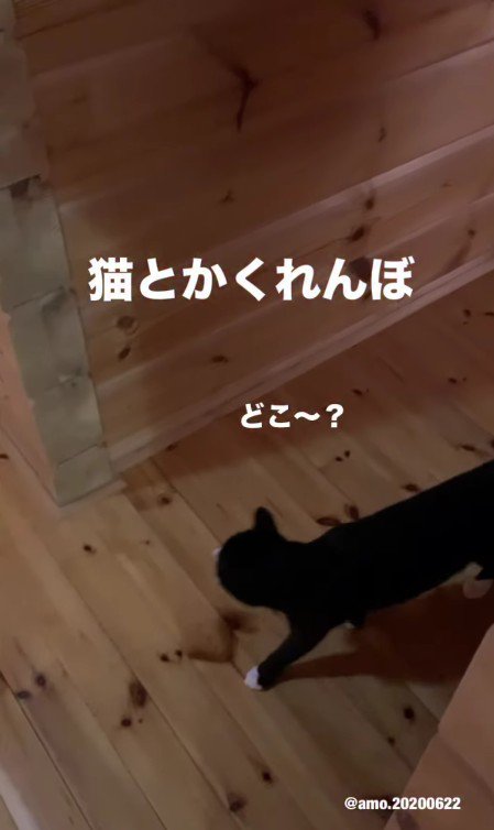 角から現れたあもちゃん