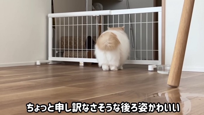 しっぽを下げるレモンくん