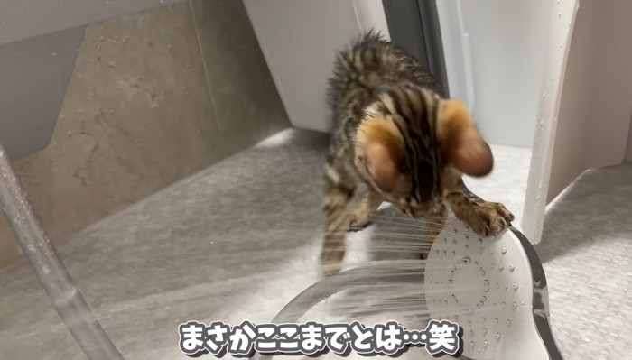 シャワーヘッドにタッチ