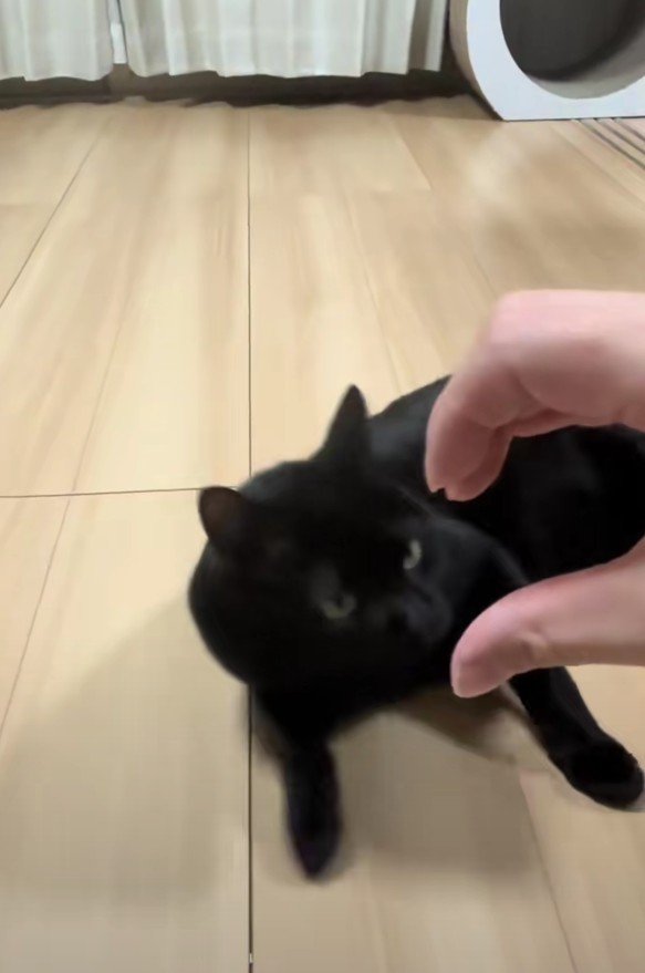 手で作った半分ハートと虎徹くん