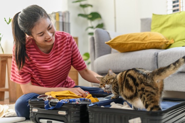 旅支度中の女性に甘える猫