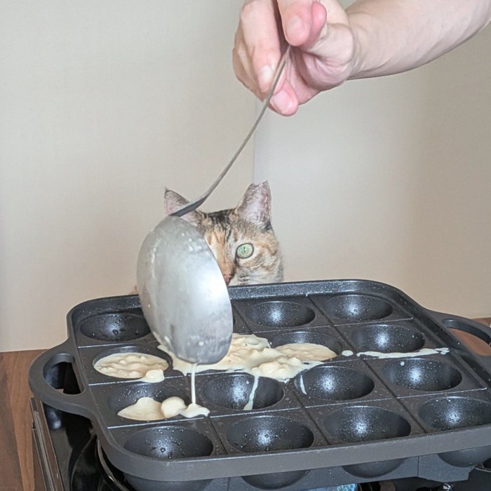 お玉の影から見つめるこむぎちゃん