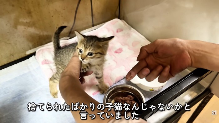 テロップ「捨てられたばかりの～」