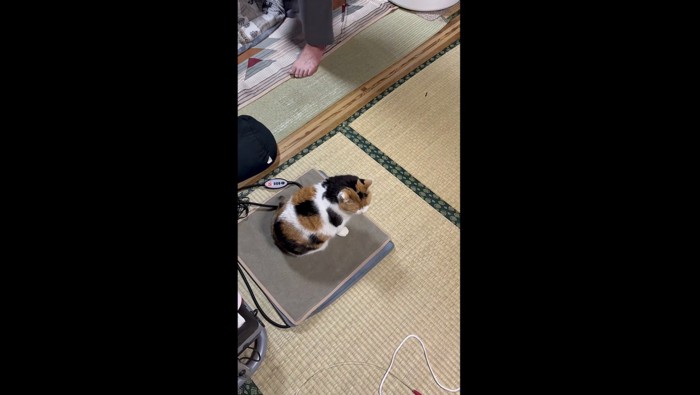 お父さんがでてきた写真