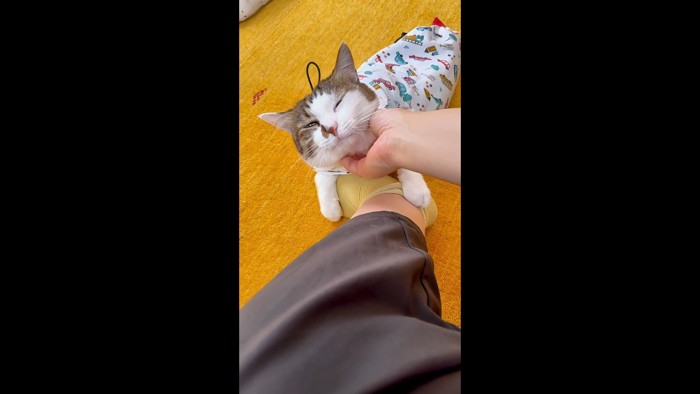 顎下をなでなで
